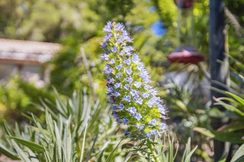 Tiny photo for 355 Santa Cruz Street, Boulder Creek, CA 95006 (MLS # ML82028847)