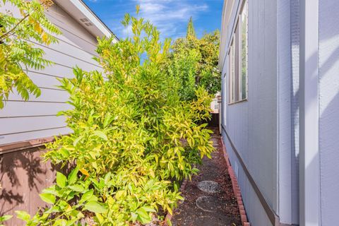 Tiny photo for 1111 Morse Avenue #29, SUNNYVALE, CA 94089 (MLS # ML82021358)