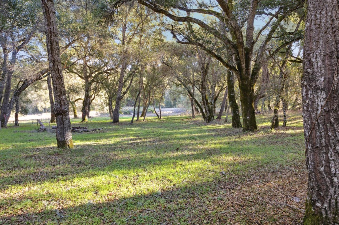 11 Arroyo Sequoia