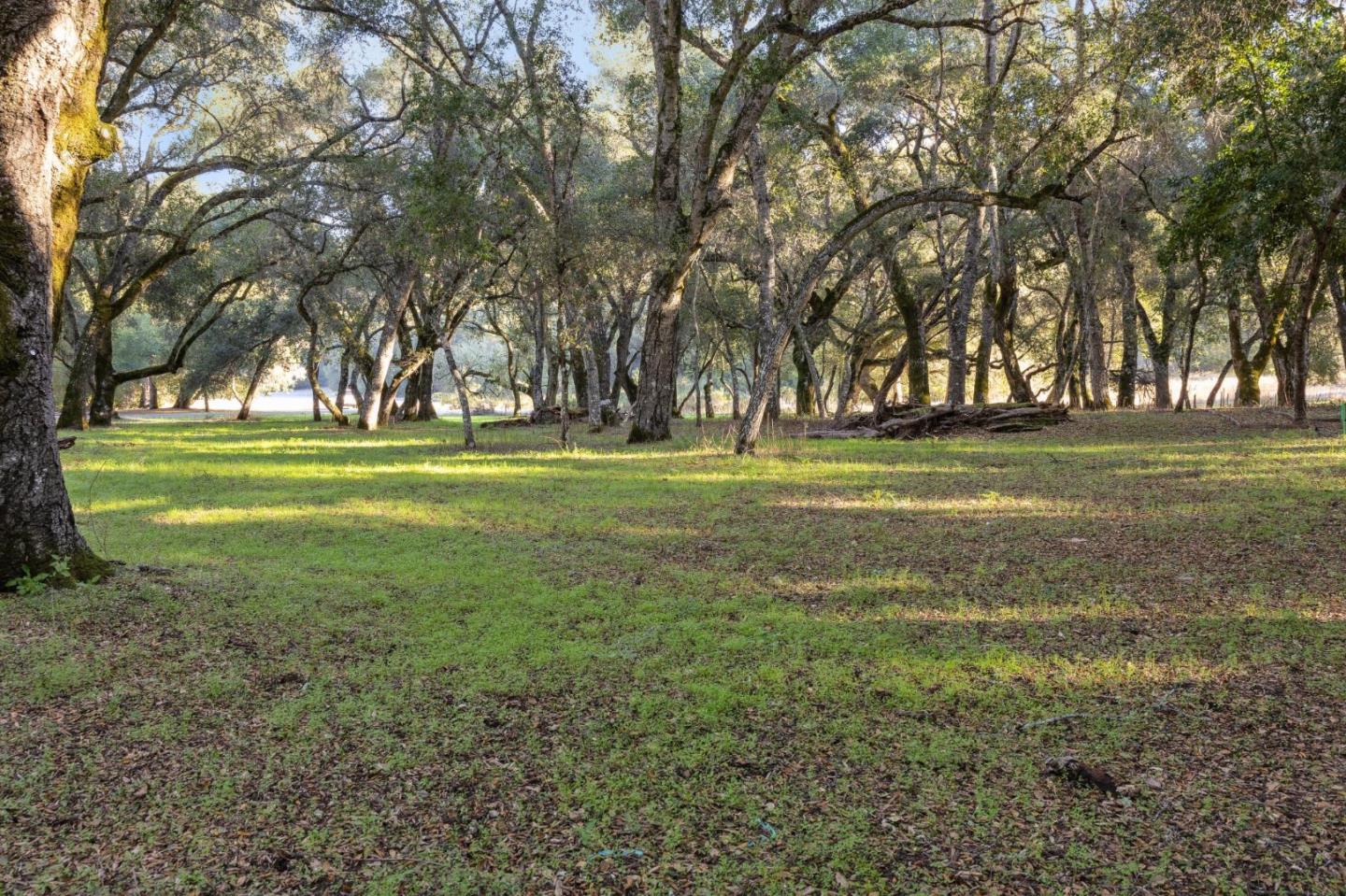 11 Arroyo Sequoia