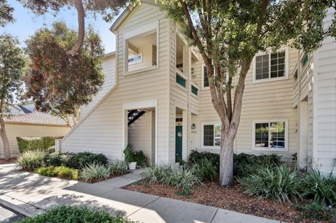 2508 Hastings Shore Lane REDWOOD CITY CA 94065