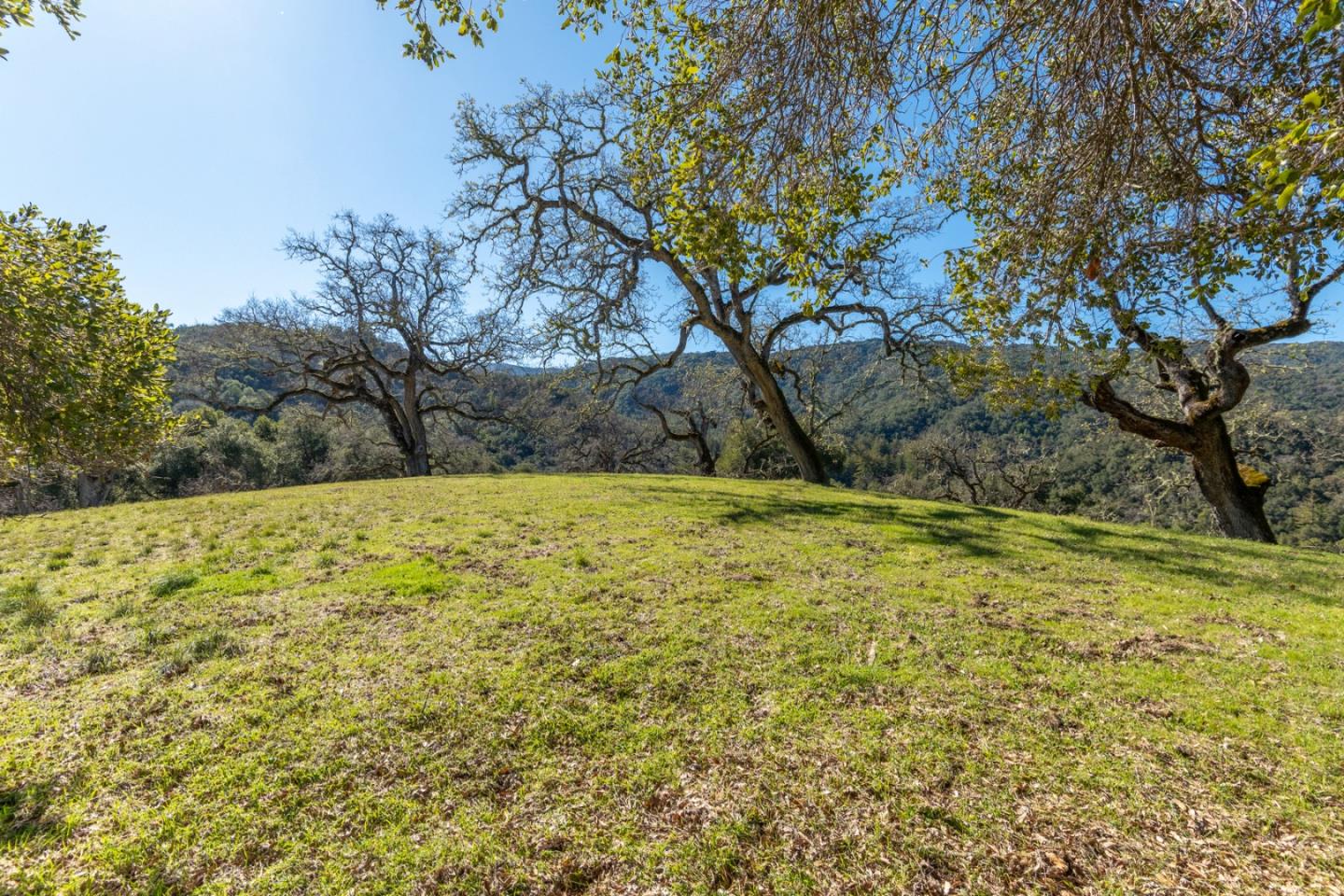 25 Arroyo Sequoia (Lot 108)