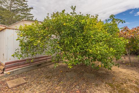 Tiny photo for 15084 Green Oak Place, SALINAS, CA 93907 (MLS # ML82043983)