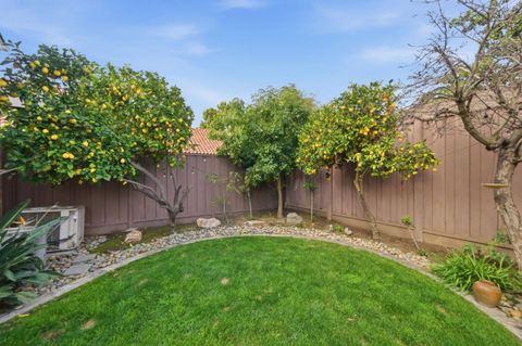Tiny photo for 664 Morse Street, San Jose, CA 95126 (MLS # ML82036430)