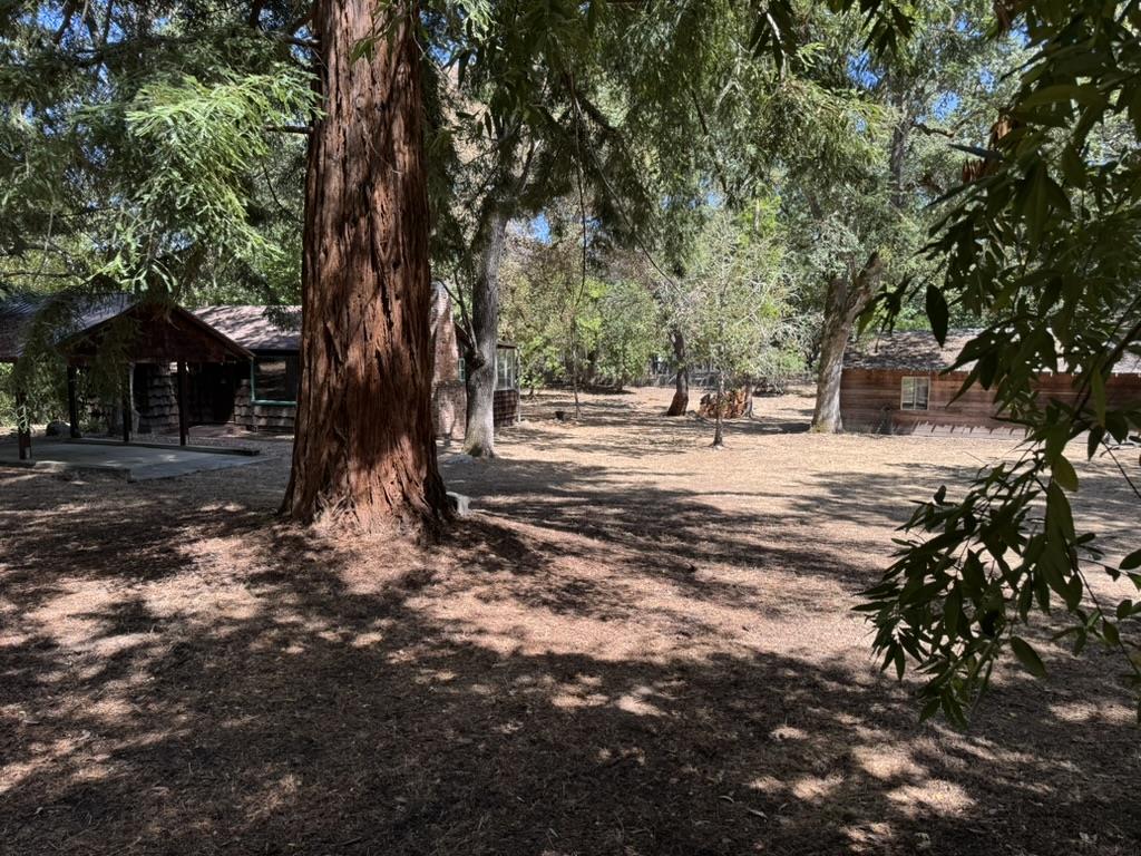 245 Bonita Road