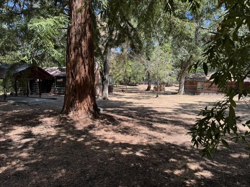 245 Bonita Road