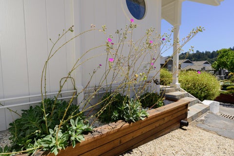 Tiny photo for 31 Dunslee Way, Scotts Valley, CA 95066 (MLS # ML82055848)