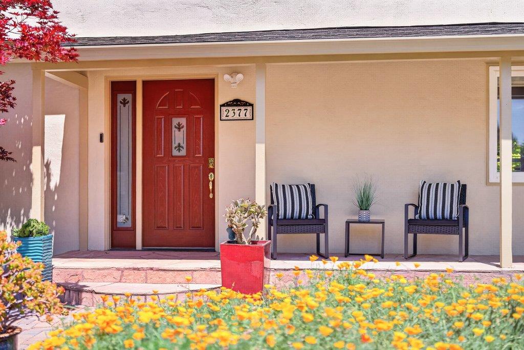 2377 Tulip Road