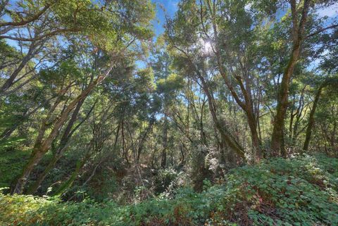 Tiny photo for 900 Mesa Grande Road, APTOS, CA 95003 (MLS # ML82025479)