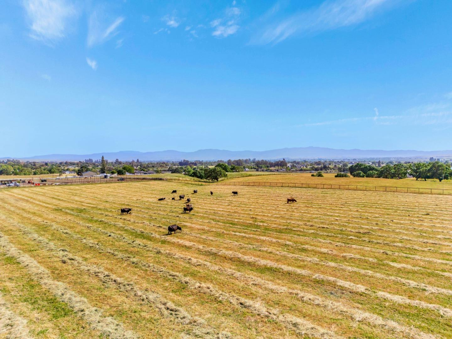 0 Lot #2 Bluff Drive