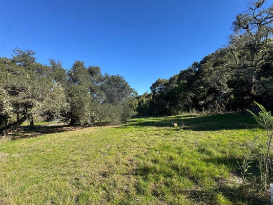 HEACOX RD, REDWOOD CITY, CA 94062 - Image b79fa5c8ffd6623da7f674634ba5a2d8/2370834049