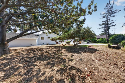 Tiny photo for 565 Marge Way, San Jose, CA 95117 (MLS # ML82044480)