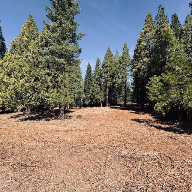 Photo 1 of 2 — 790 Red River Drive, LAKE ALMANOR, CA 96137