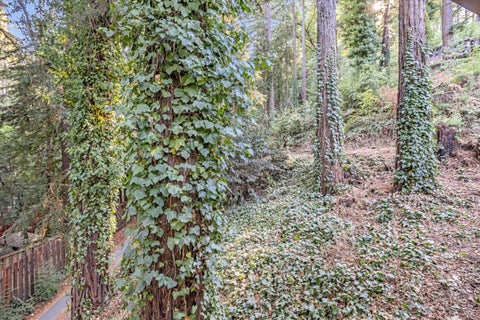 Tiny photo for 1045 Forest Way, BROOKDALE, CA 95007 (MLS # ML82056465)