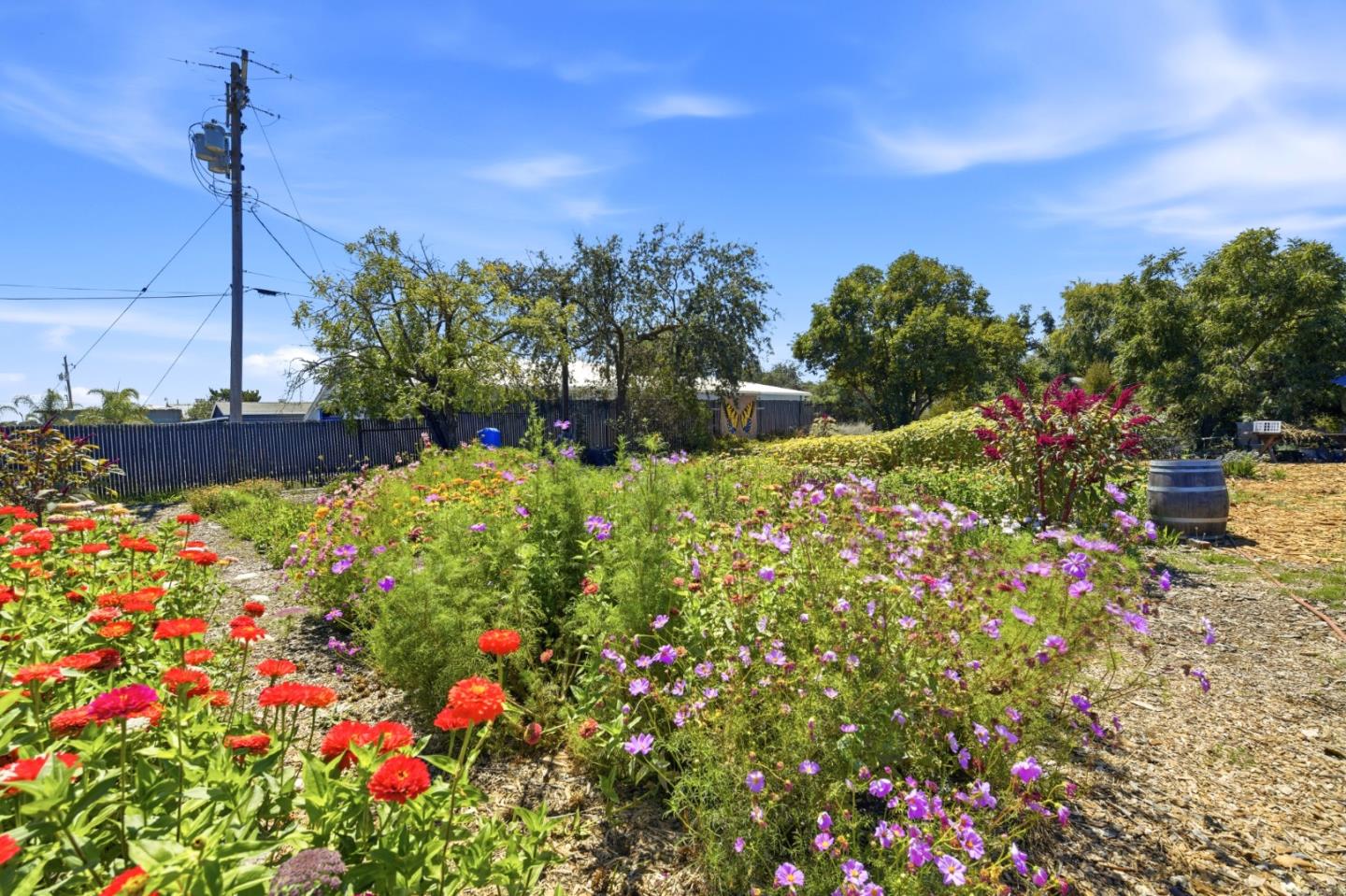 10095 Monterey Road
