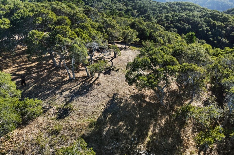 9 Corral Run