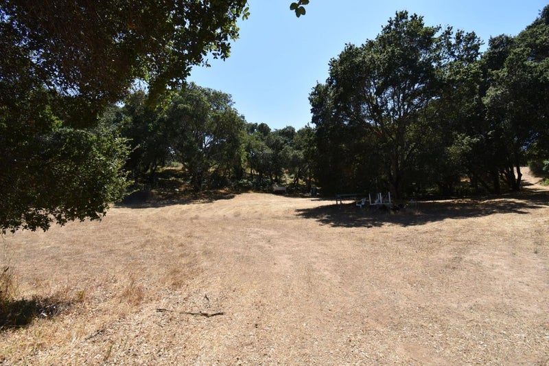 443A Alexander Lane