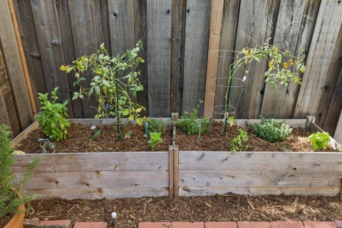 Tiny photo for 911 Cowper Street, PALO ALTO, CA 94301 (MLS # ML82061640)
