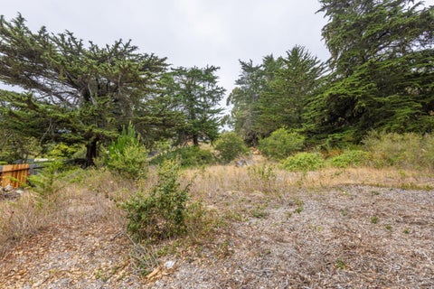 Tiny photo for 18 Yankee Point Drive, CARMEL, CA 93923 (MLS # ML82054215)