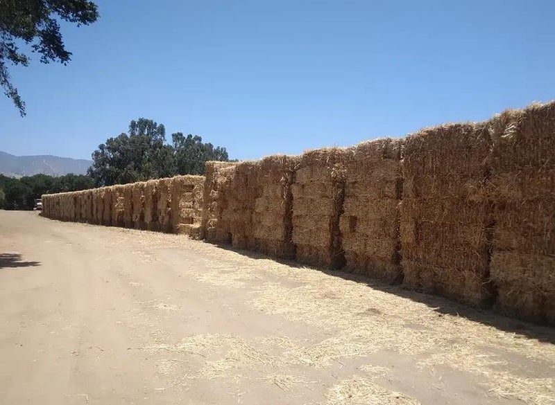 0 Panoche Road