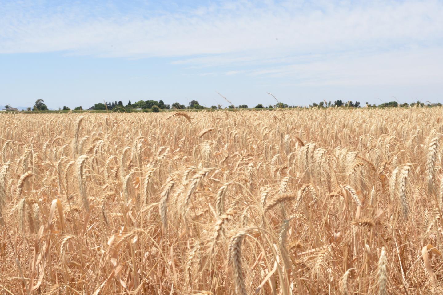 16071 Tyler Island Road