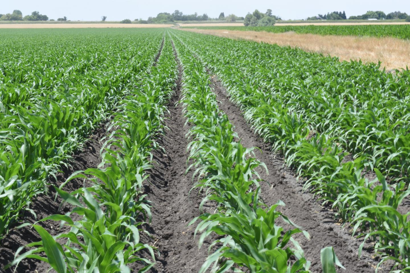 16071 Tyler Island Road