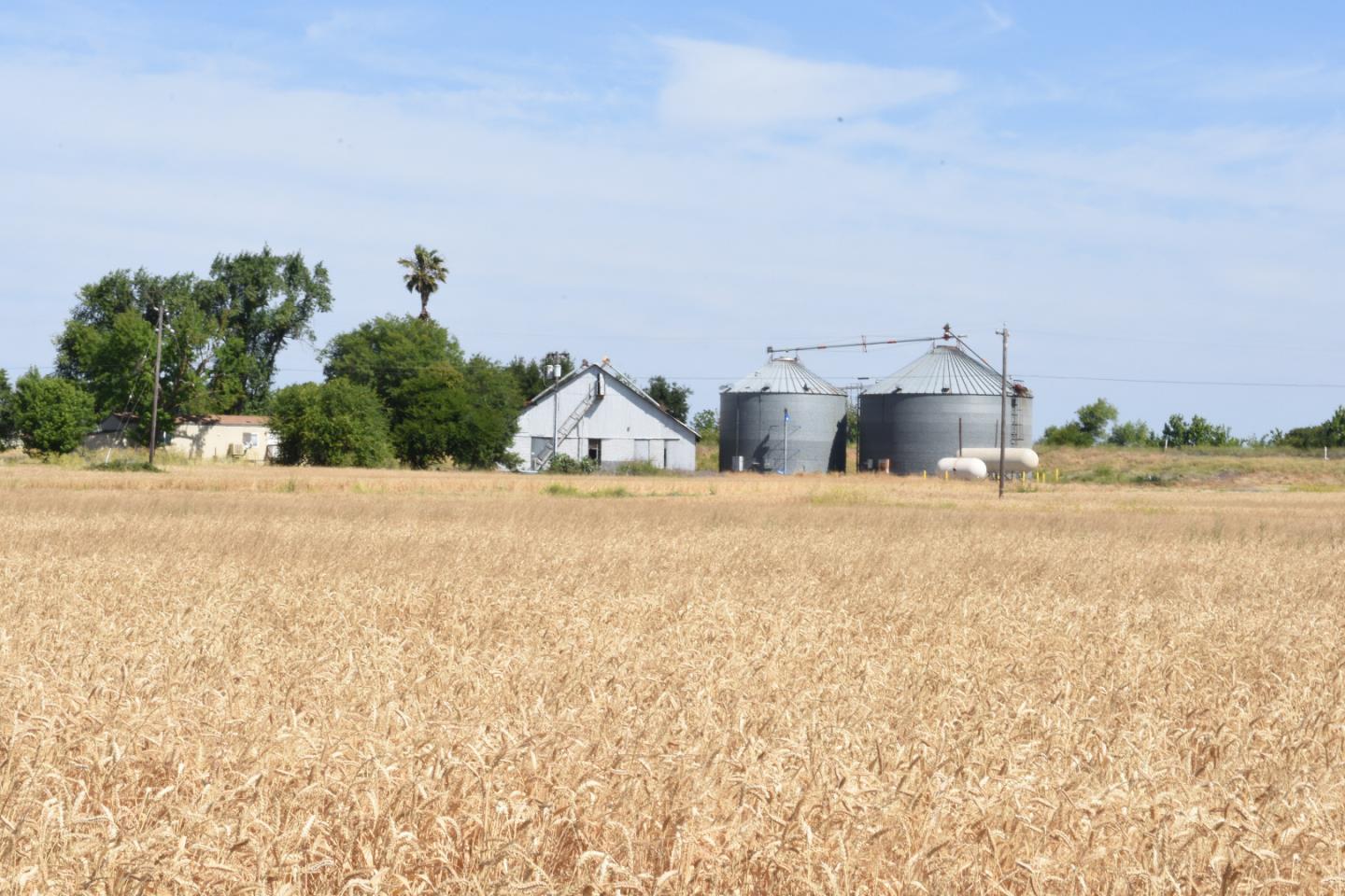 16071 Tyler Island Road