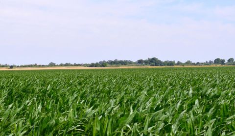 16071 Tyler Island Road Isleton CA 95641