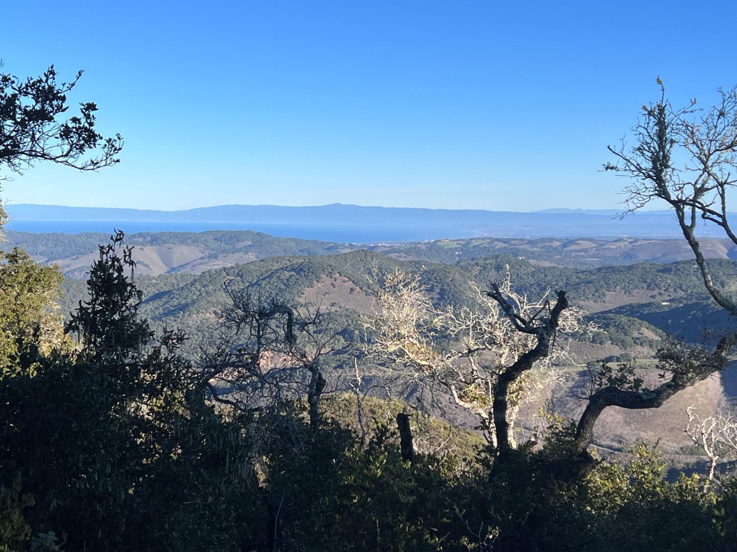 13 Cantera (Lot 185) Run