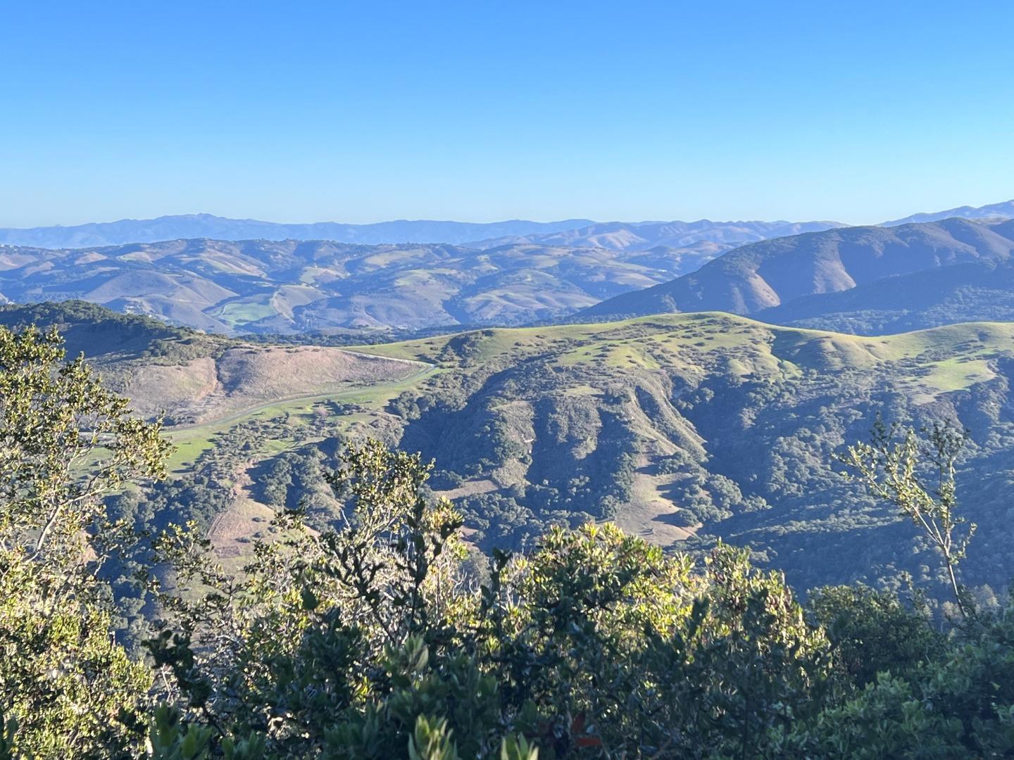 13 Cantera (Lot 185) Run