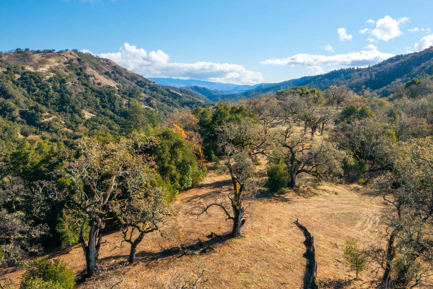 37 Arroyo Sequoia (Lot 113)