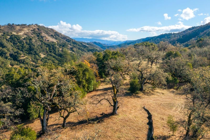 37 Arroyo Sequoia (Lot 113)