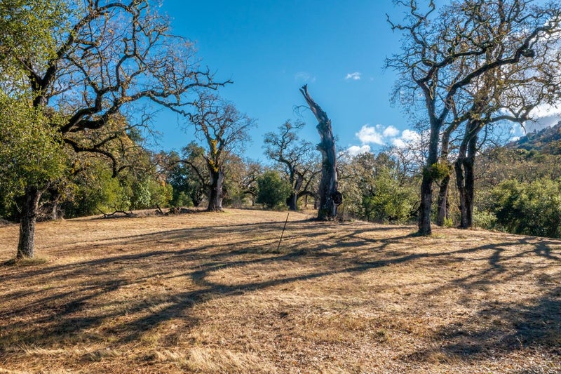 37 Arroyo Sequoia (Lot 113)