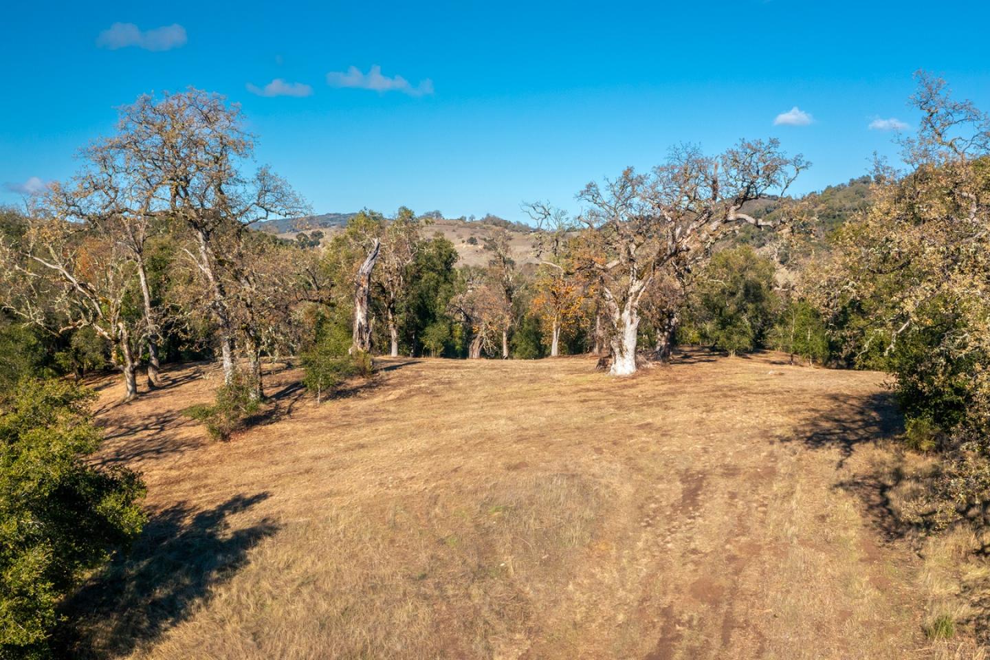 37 Arroyo Sequoia (Lot 113)
