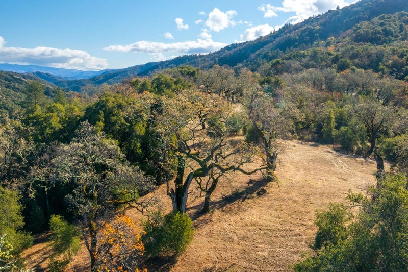 37 Arroyo Sequoia (Lot 113)