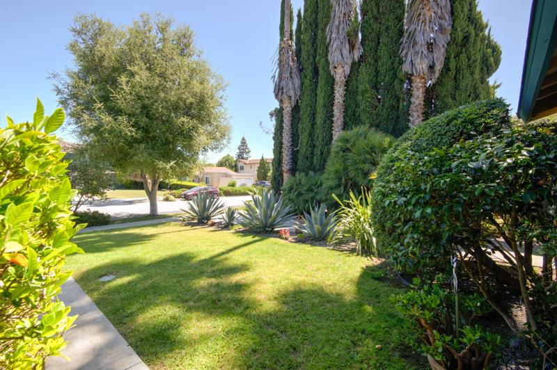 1441 Goldenlake Road