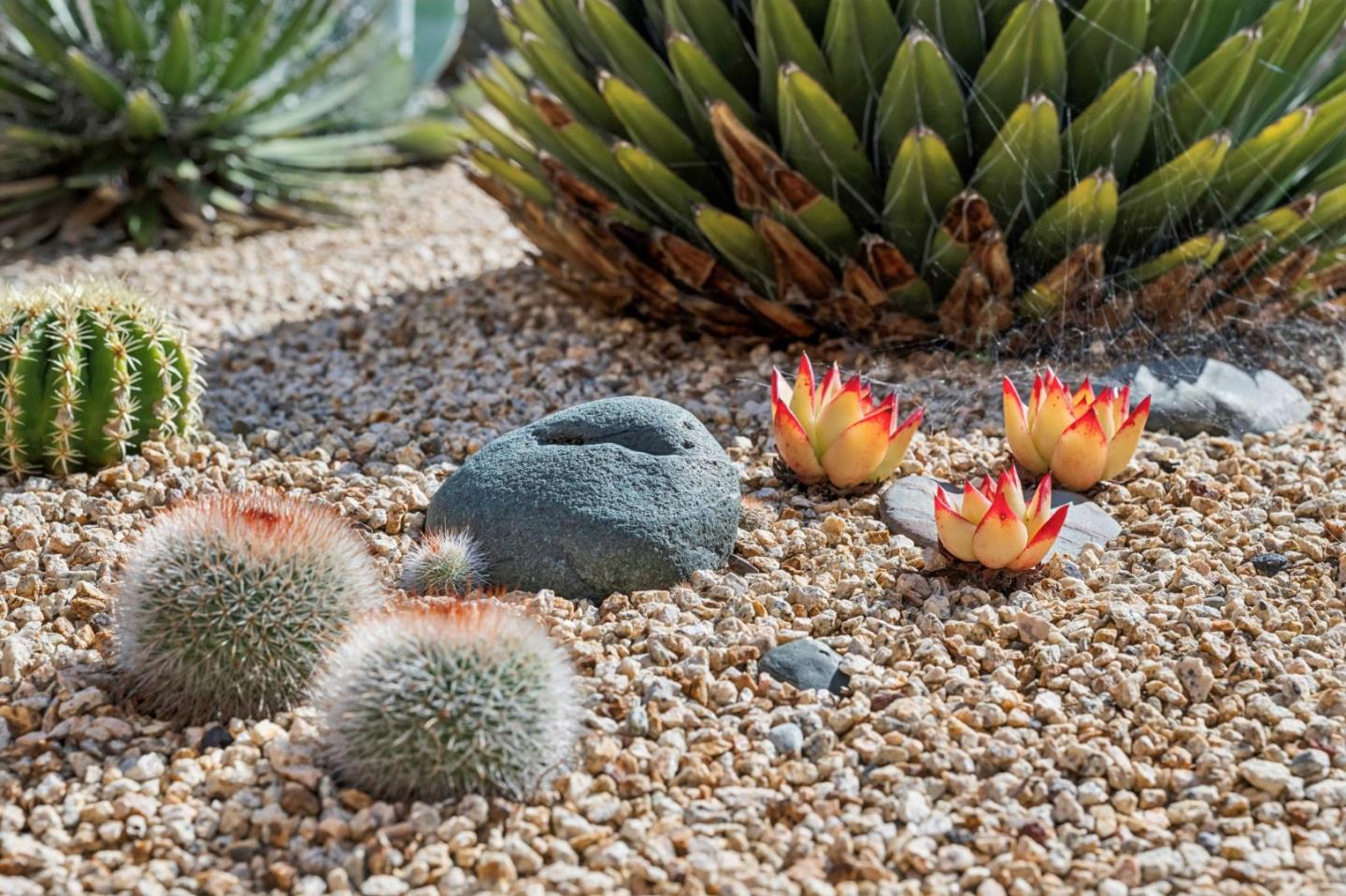 217 Edinburgh Avenue