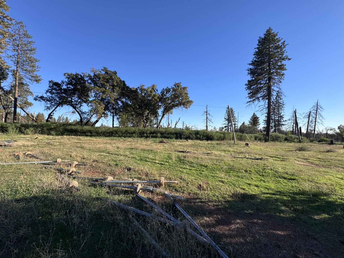 12168 Granite Ridge Road