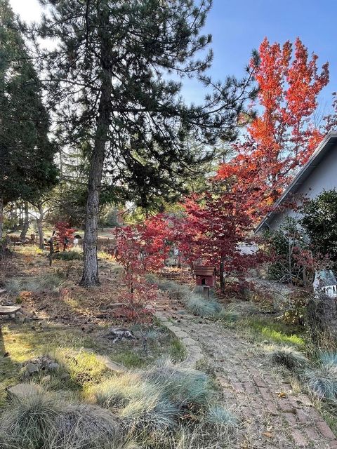 Tiny photo for 731 Dogwood Drive, MURPHYS, CA 95247 (MLS # ML82020669)