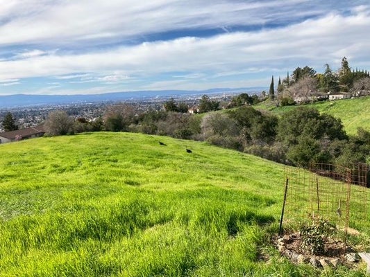 15221 CAMELOT DR, SAN JOSE, CA 95132 - Image c3b0699c17e4c8384d96343b9ea23b69/259635963