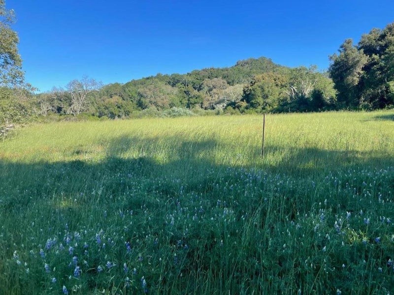 34222 Robinson Canyon Road