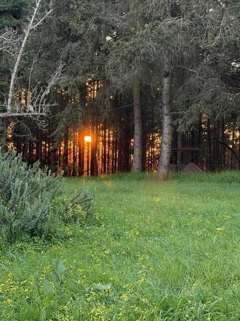 Tiny photo for 71 Hawk Haven Road, WATSONVILLE, CA 95076 (MLS # ML82036878)