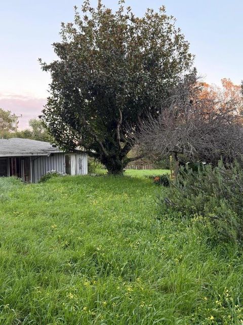 Tiny photo for 71 Hawk Haven Road, WATSONVILLE, CA 95076 (MLS # ML82036878)