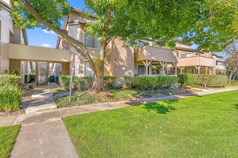 217 Del Monte Lane MORGAN HILL CA 95037