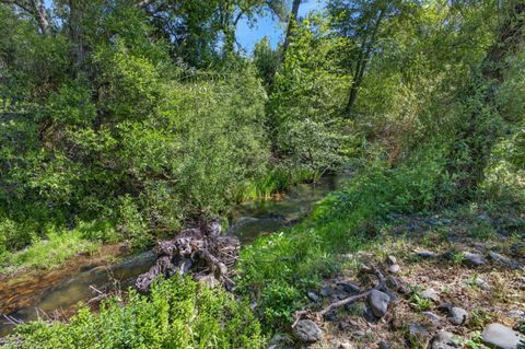 Tiny photo for 20450 Almaden Road, SAN JOSE, CA 95120 (MLS # ML82042525)
