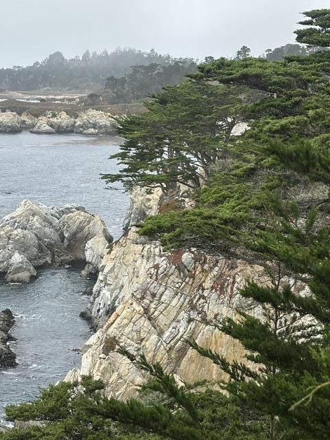 Tiny photo for 32680 Coast Ridge Drive, CARMEL, CA 93923 (MLS # ML82059428)