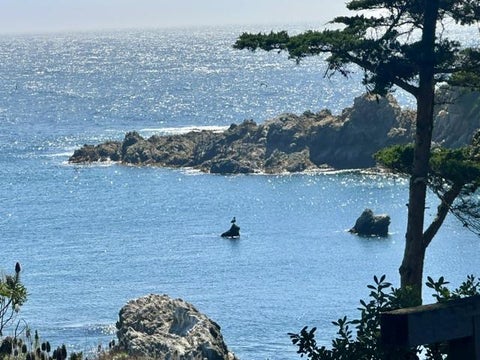 Tiny photo for 32680 Coast Ridge Drive, CARMEL, CA 93923 (MLS # ML82059428)