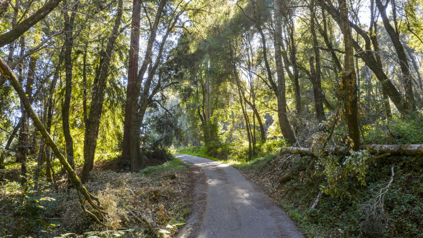 4444 Trout Gulch Road