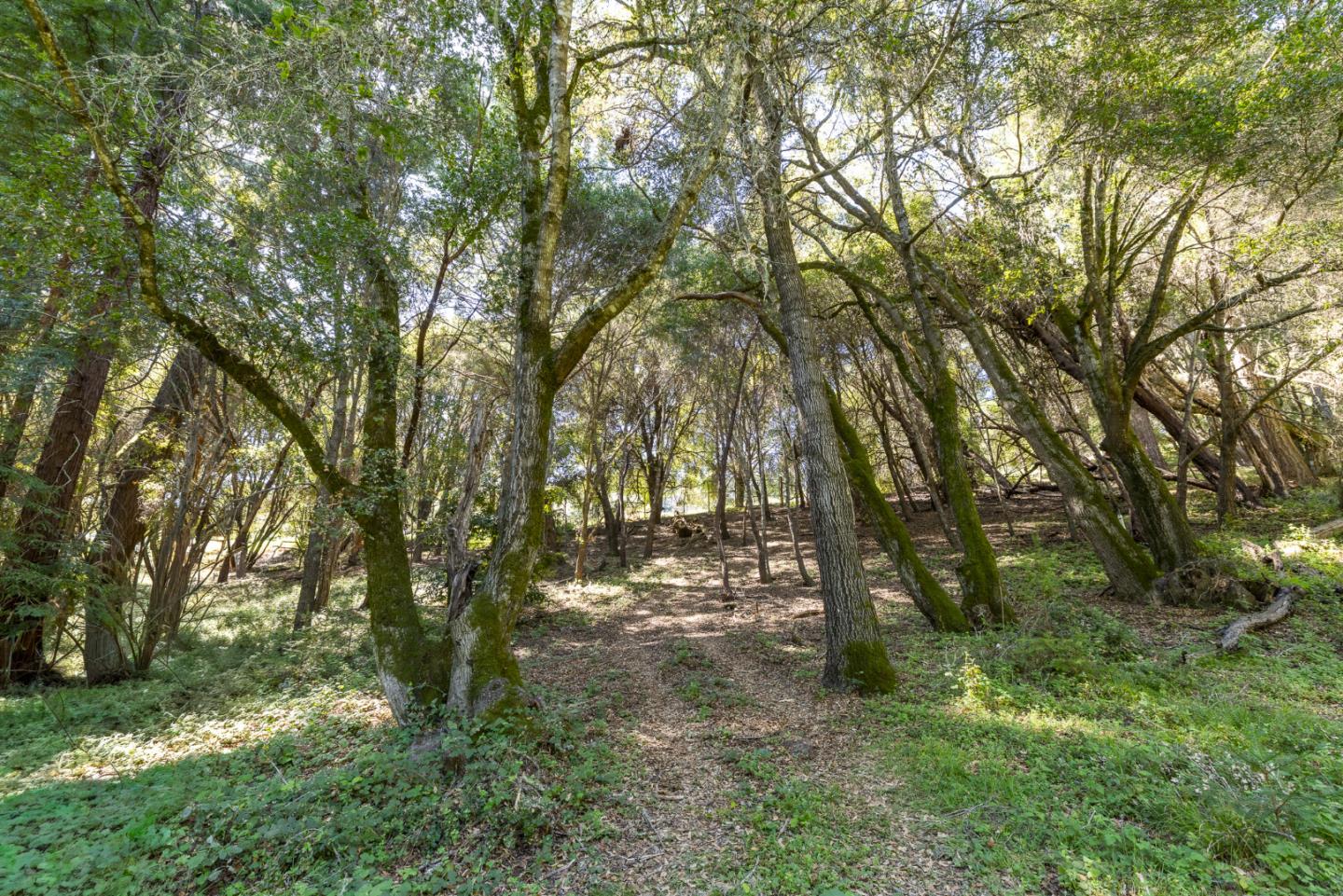 4444 Trout Gulch Road