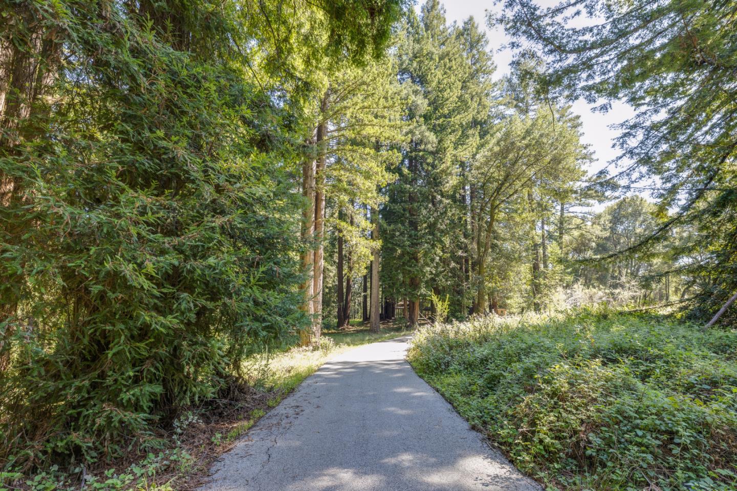 4444 Trout Gulch Road